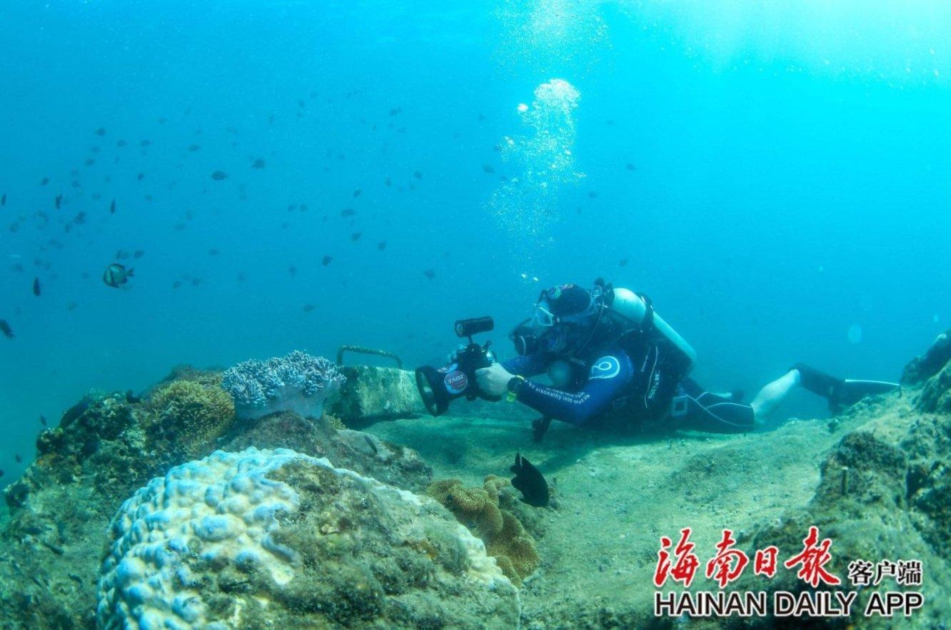 48岁古天乐至今未娶却没被催婚,陪父母拜年成集邮对象!