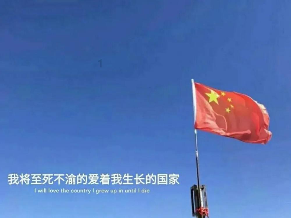 世界上最大的蛇究竟有多大？游戏画面
